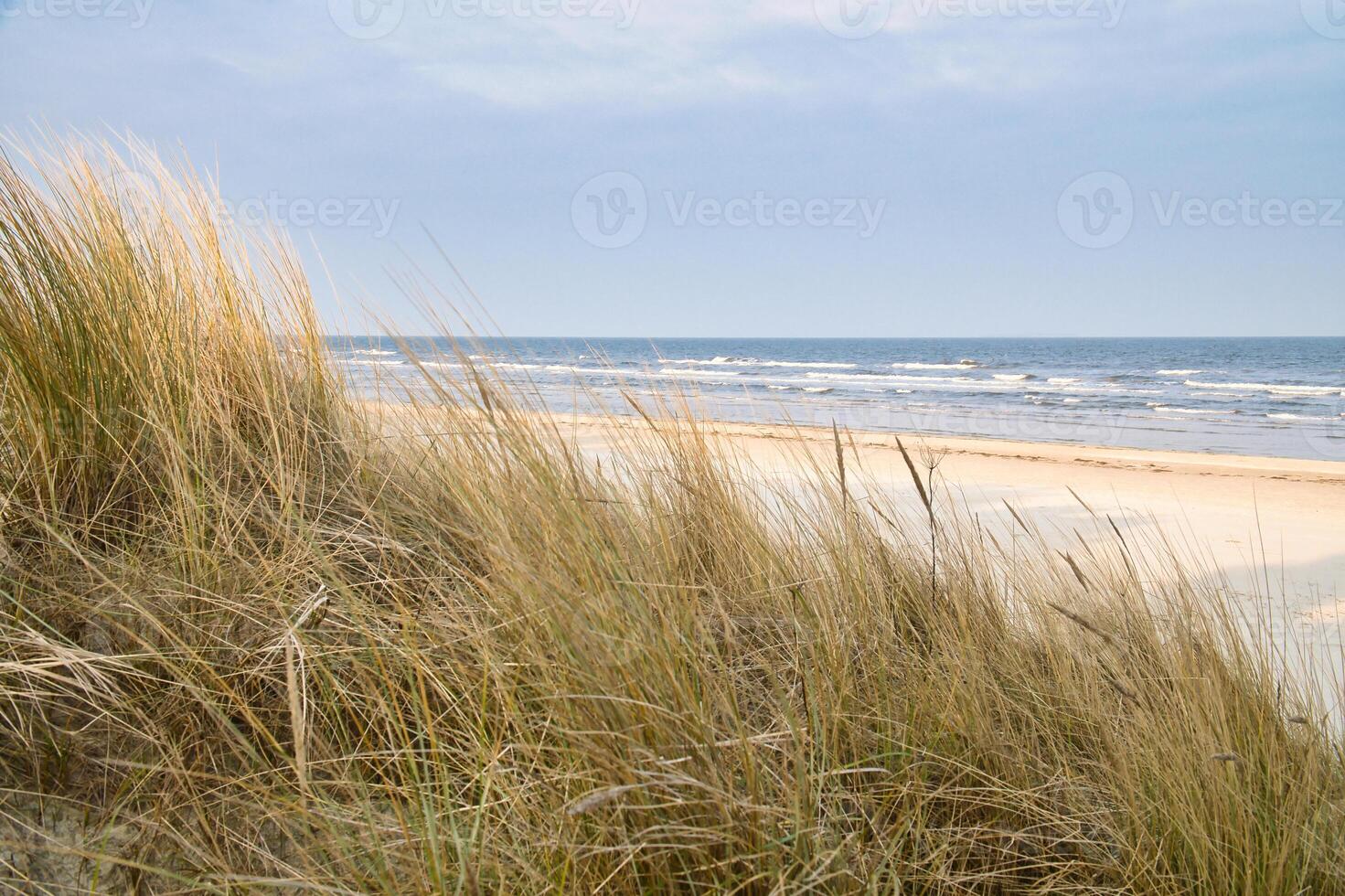 View over the dunes on the island of Usedom to the Baltic Sea. Dune grass, sand photo