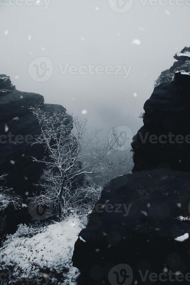 Rock formation on the Grosser Zschirnstein, in snowfall. photo