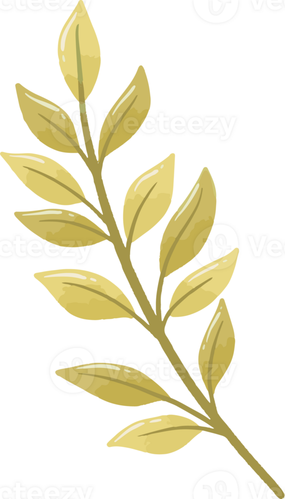 Cluster of Yellow Leaves png