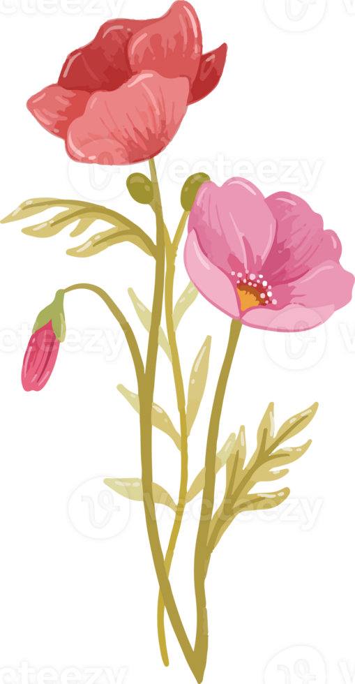 Poppy Arangement flower png
