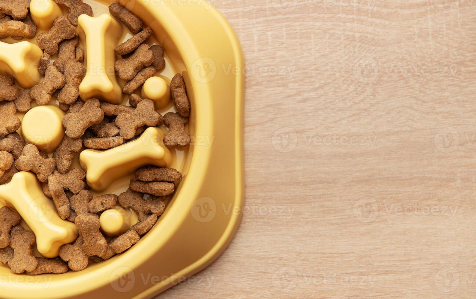 Slow feeder dog bowl preventing gulping and improving digestion on wooden floor photo
