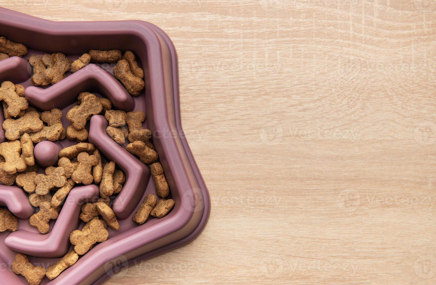 Star shape Slow feeder dog bowl preventing gulping and improving digestion photo