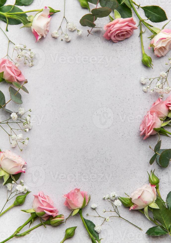 Pink roses and eucalyptus leaves creating a frame on a gray background photo