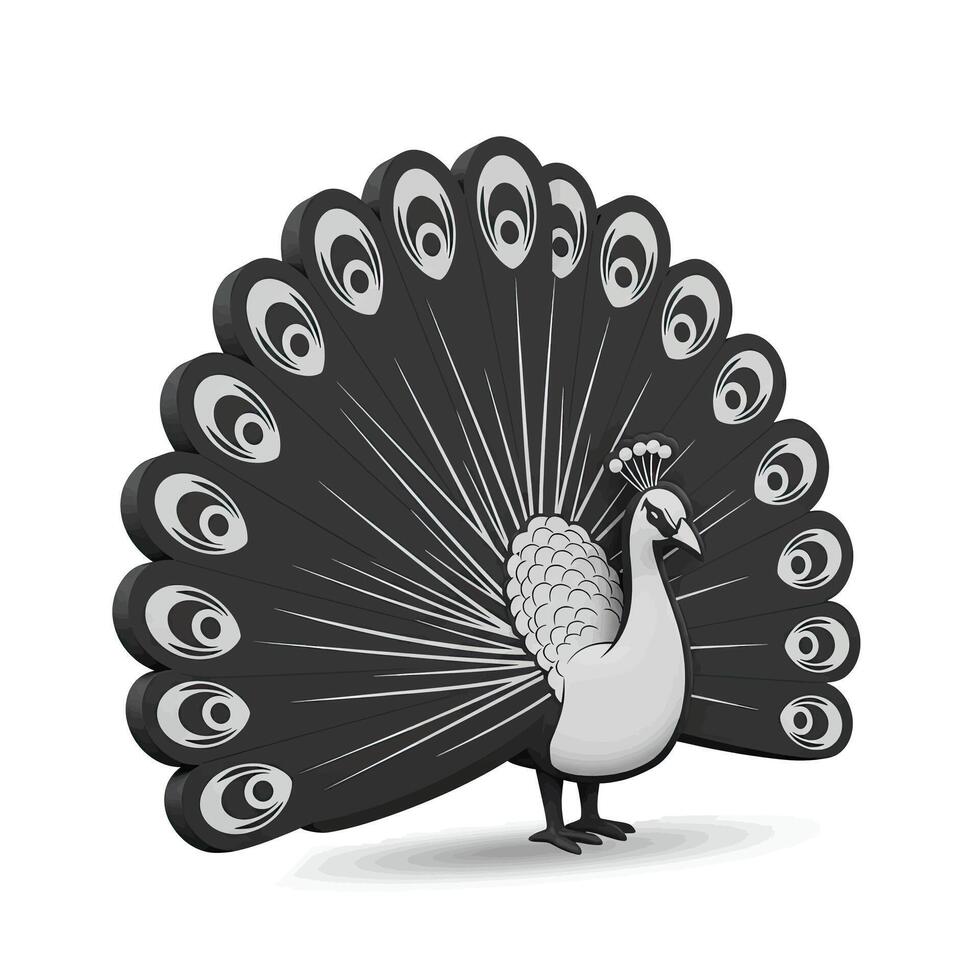 A black and white illustration of a peacock vector