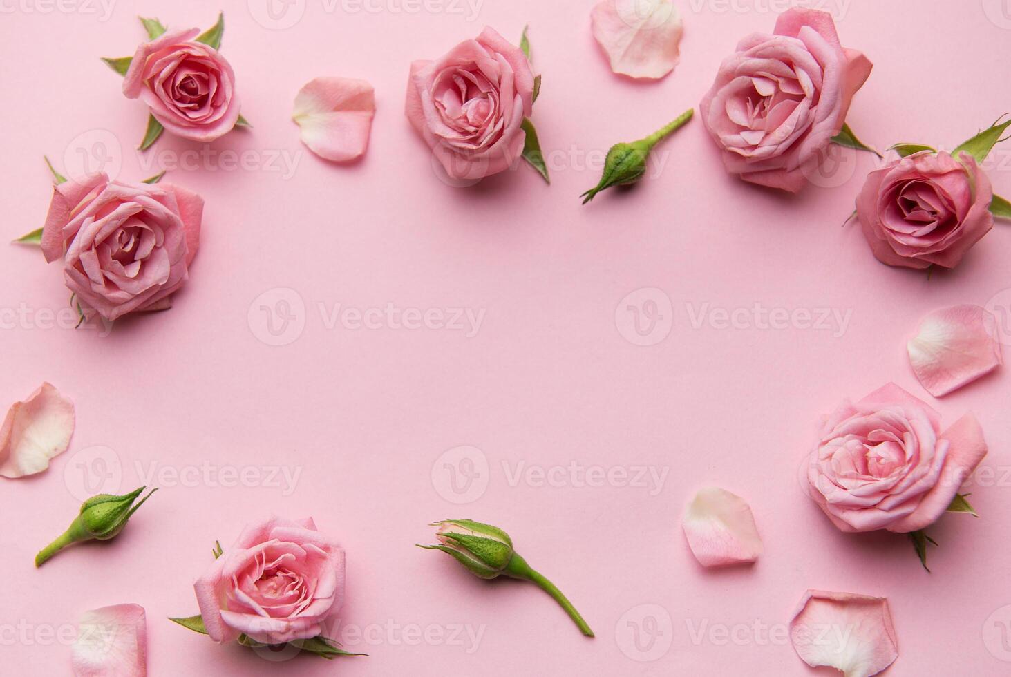 Pink roses and petals creating a frame on pink background photo