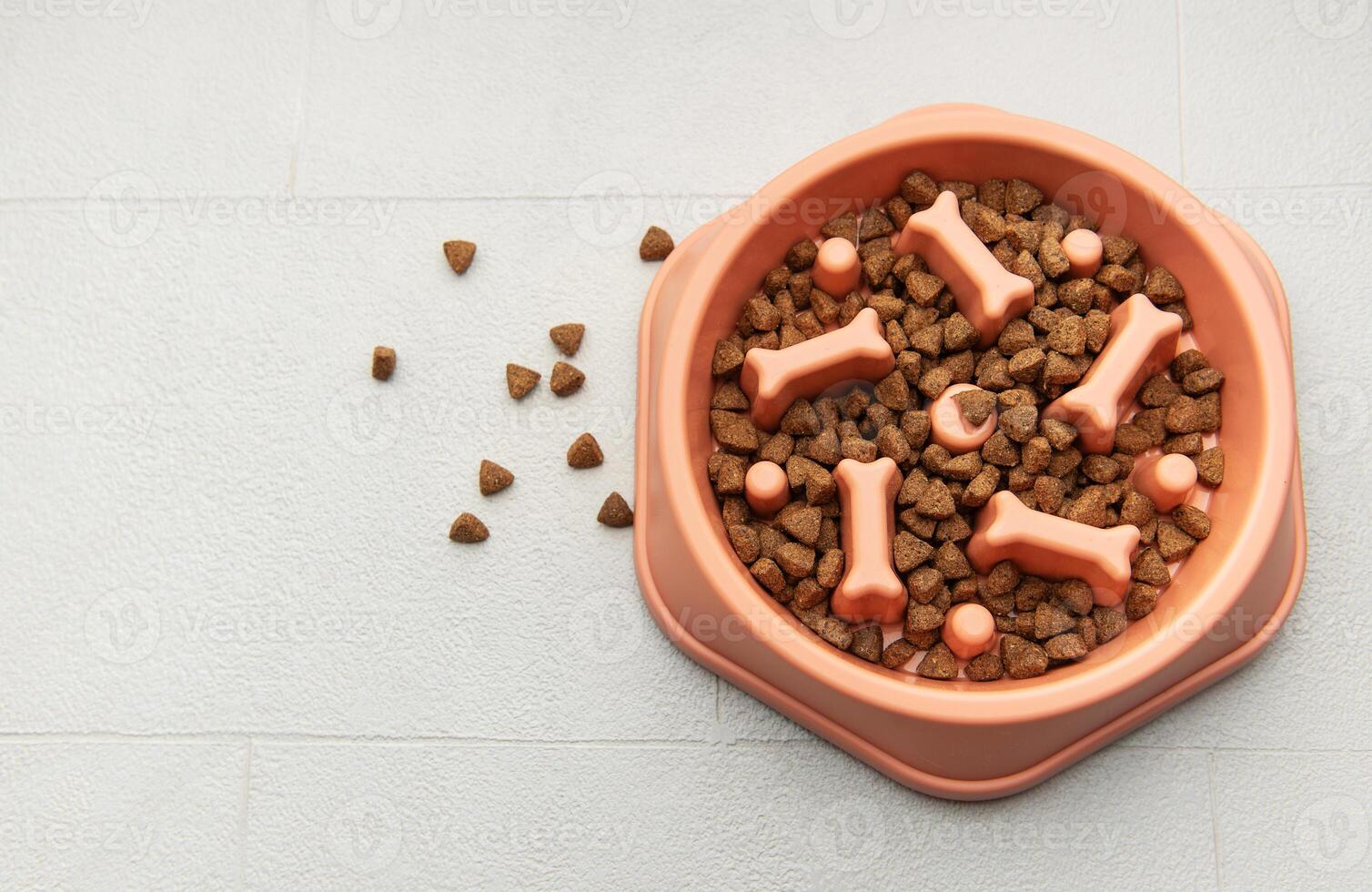 Dry pet food is in a slow feeder bowl on a tile photo