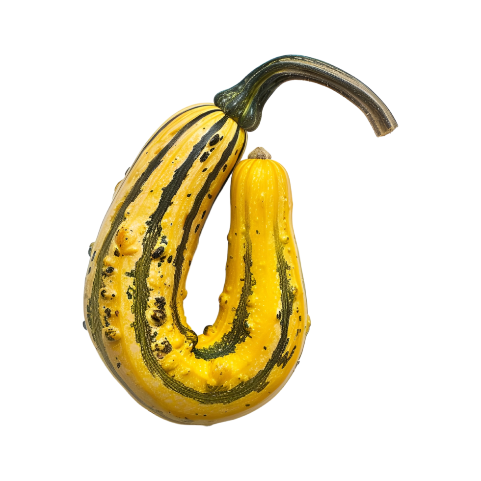 A squash with a green stem and yellow skin png