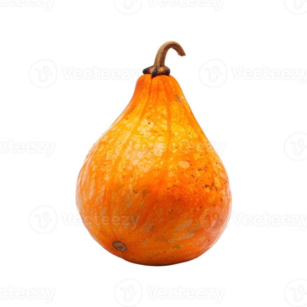 Single orange pumpkin on a transparent background png
