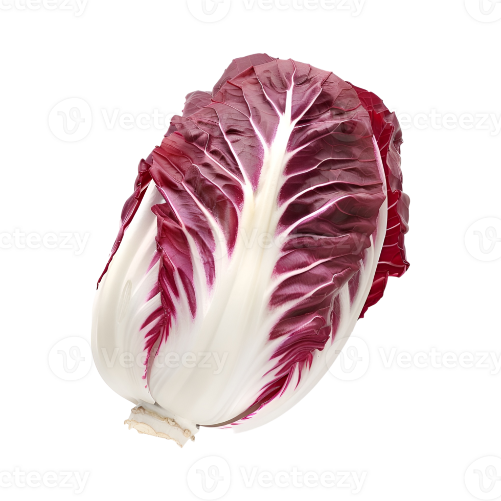 Red cabbage on transparent background png