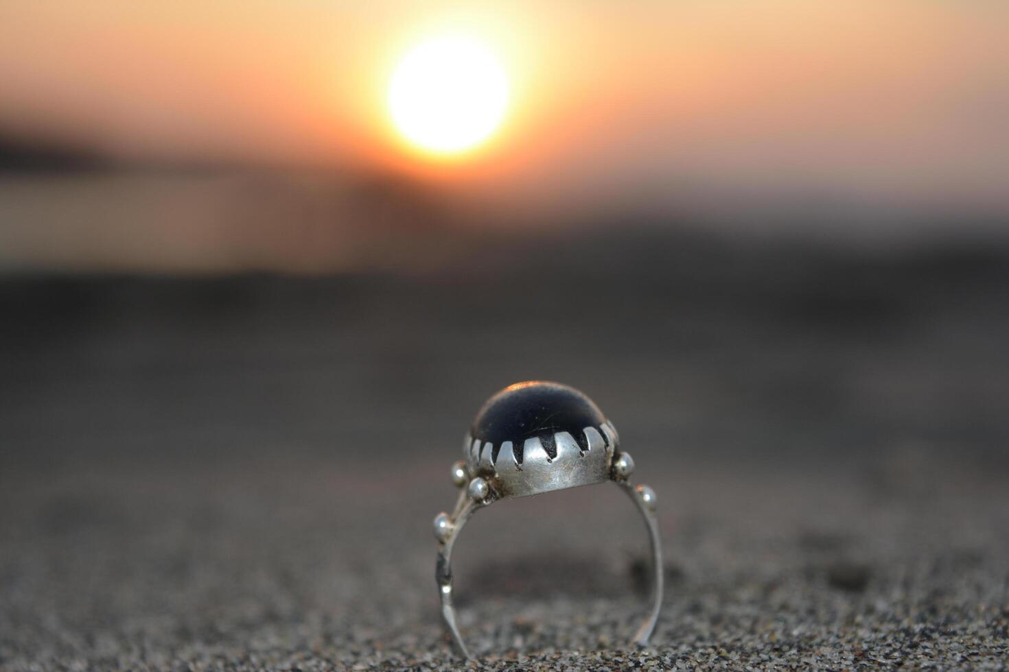 Beetle on sand by the sea with a close-up of nature and wildlife photo