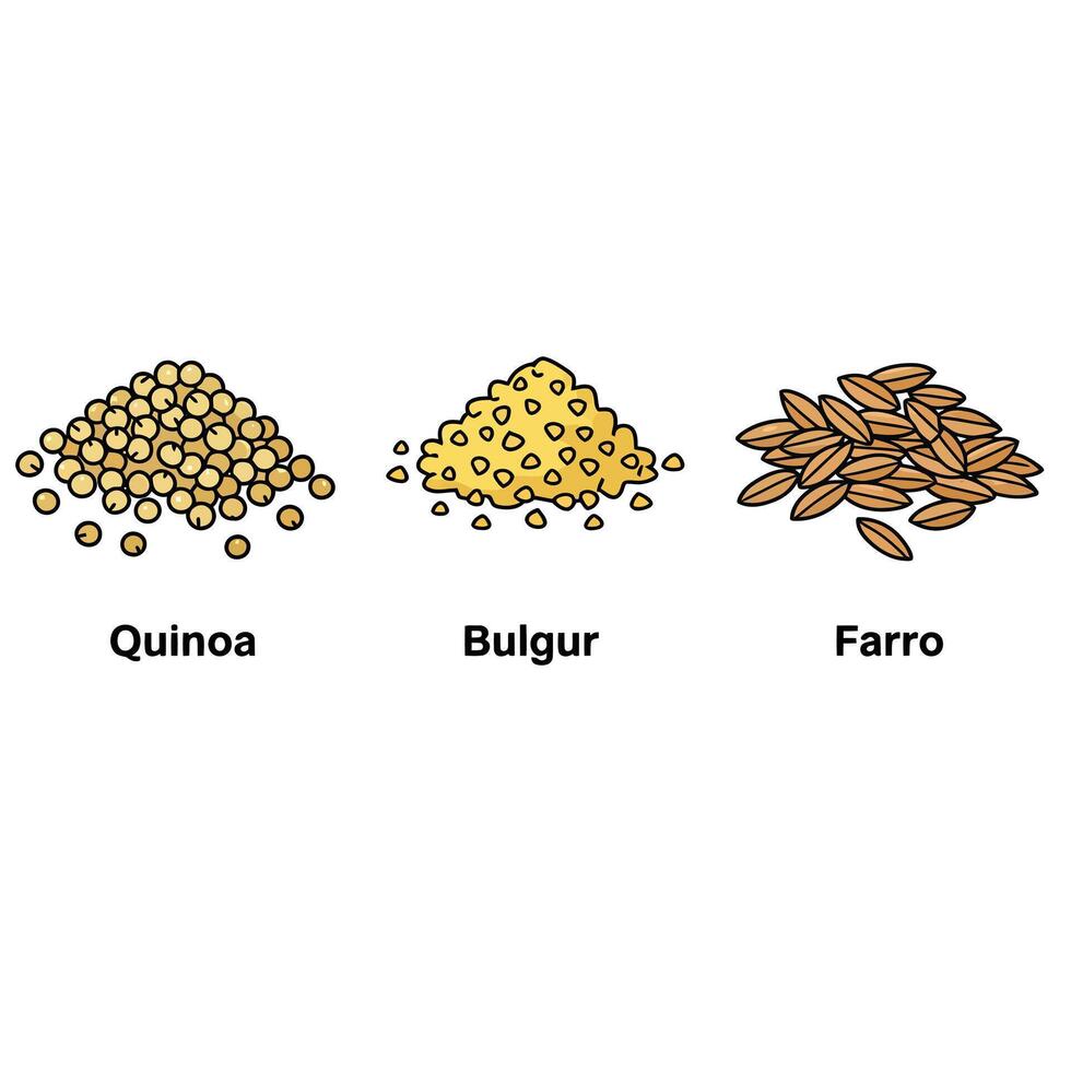 The different types of grains and seeds vector