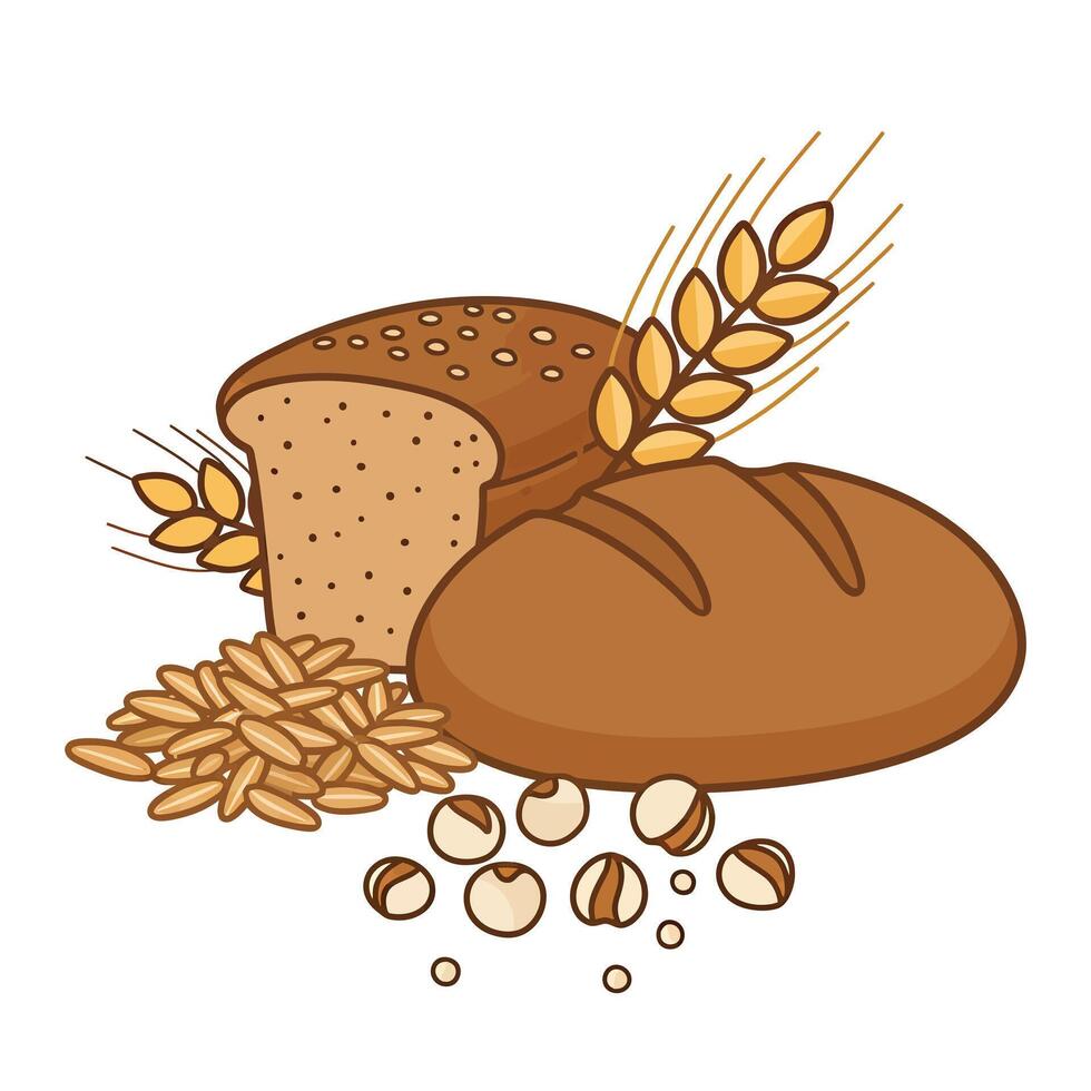 illustration of bread and wheat on white background vector