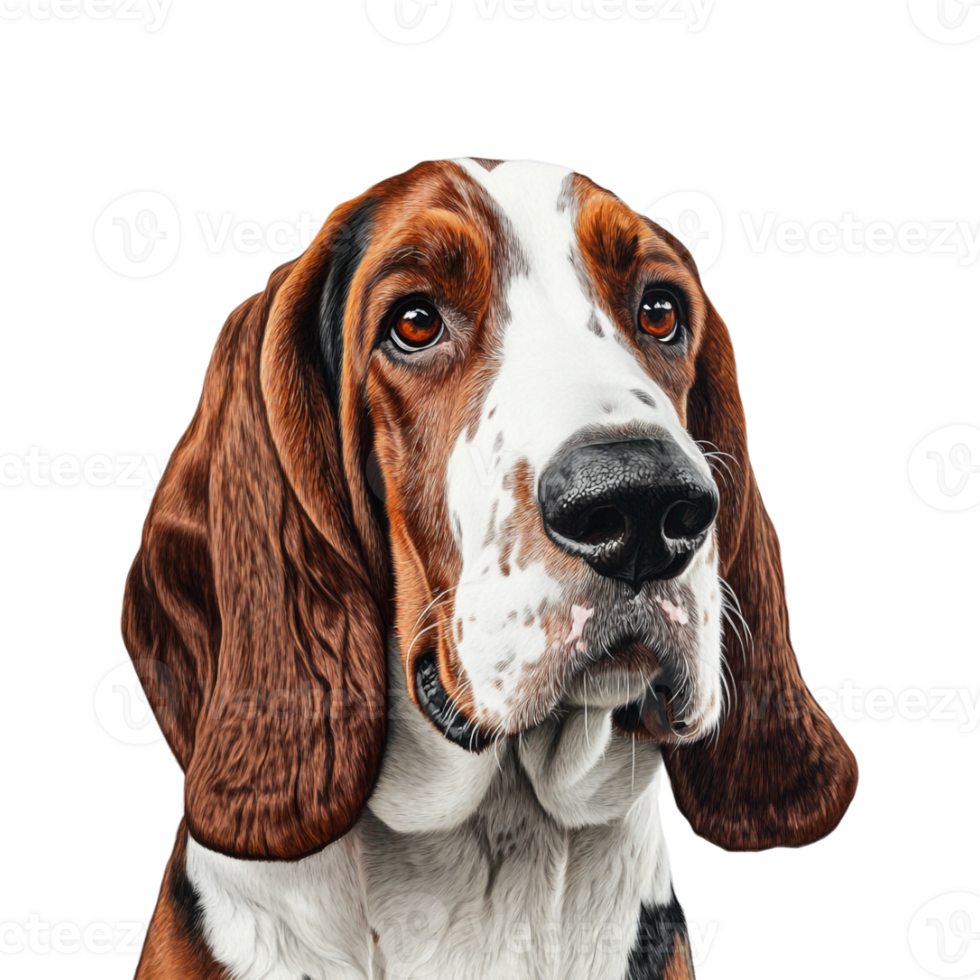 a dog with a big head and a long neck png