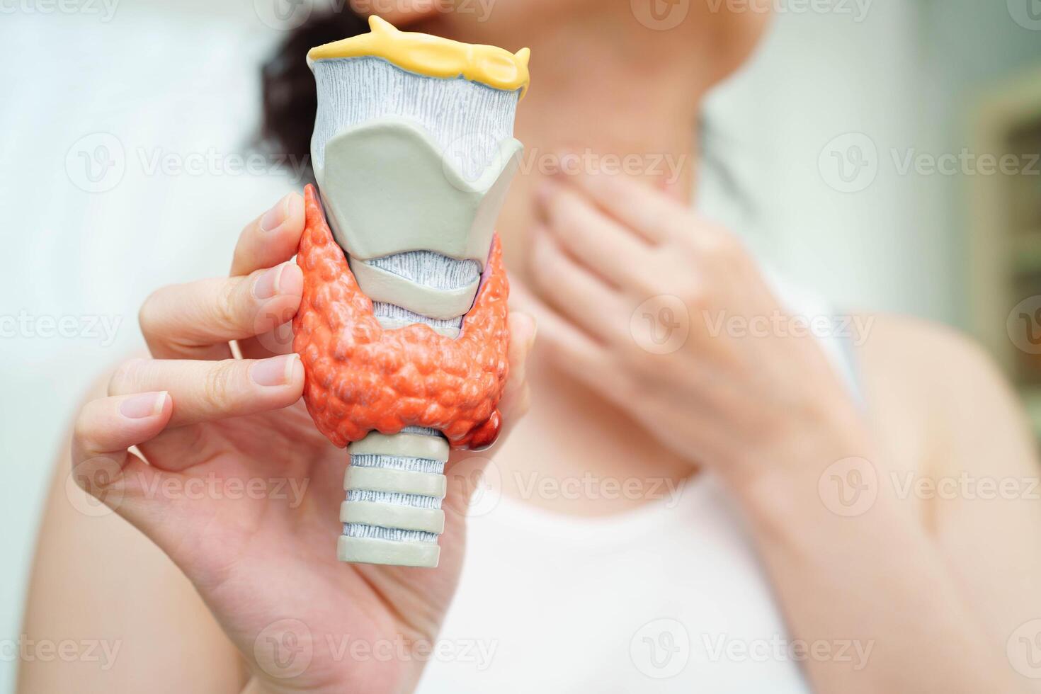 Hyperthyroidism, Overactive Thyroid, Thyroid Lymphoma, Asian woman with thyroid gland human anatomy model. photo