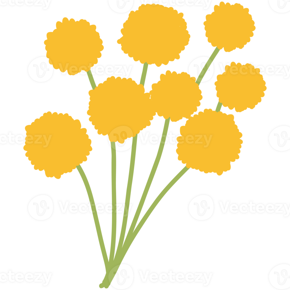 Wild yellow flower spring png