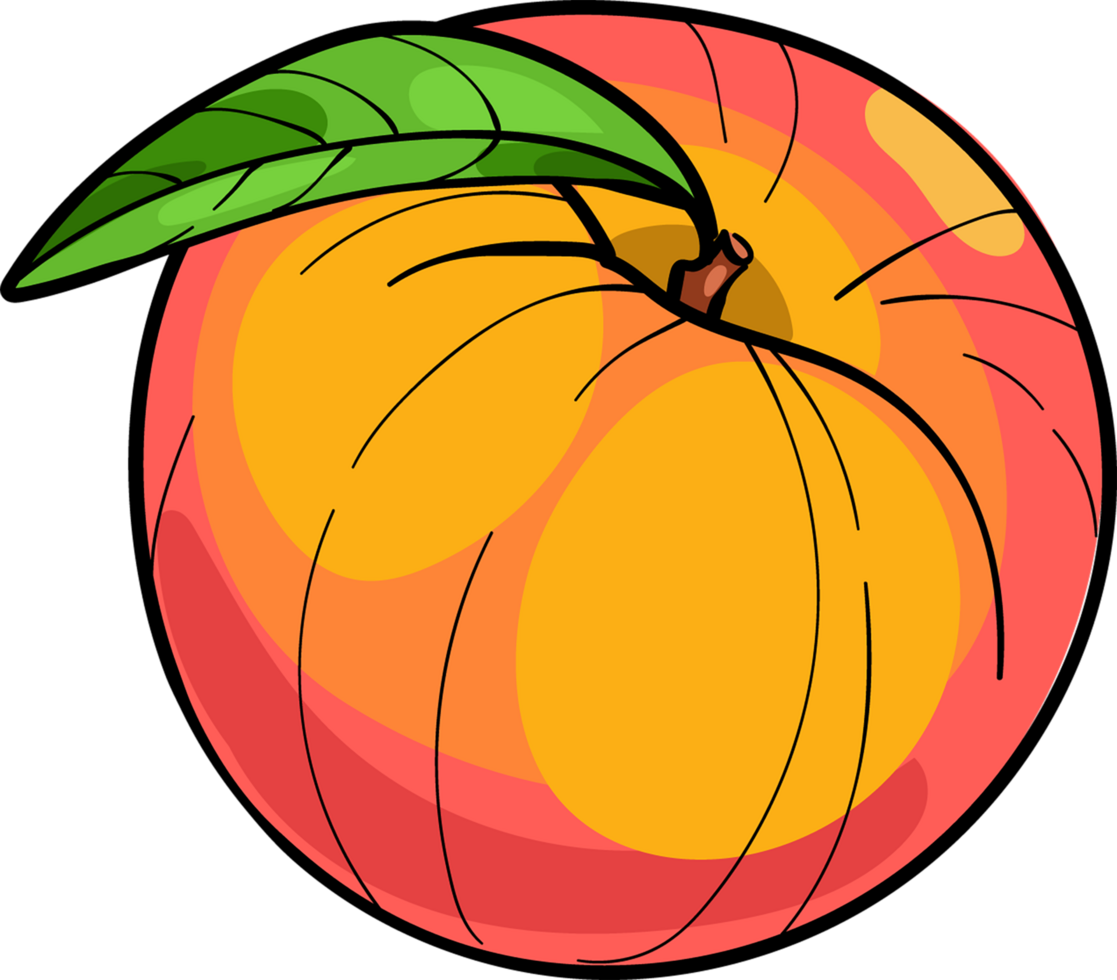 Peach, fruit , hand drawn illustration png