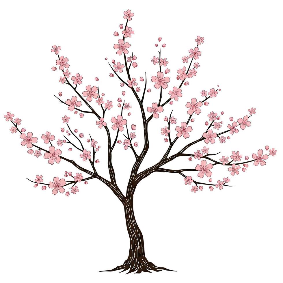 A tree with pink flowers on a white background vector