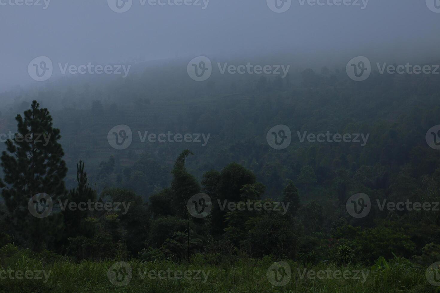 foggy weather during winter in the hills of sumedang, west java, indonesia. photo