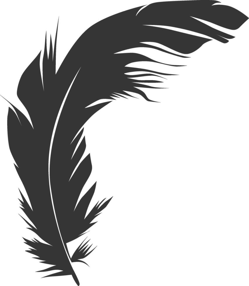 Peacock feather silhouette illustration vector