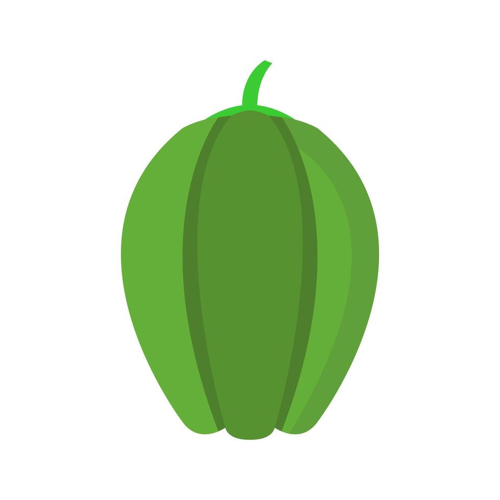 Green fruit on white background vector