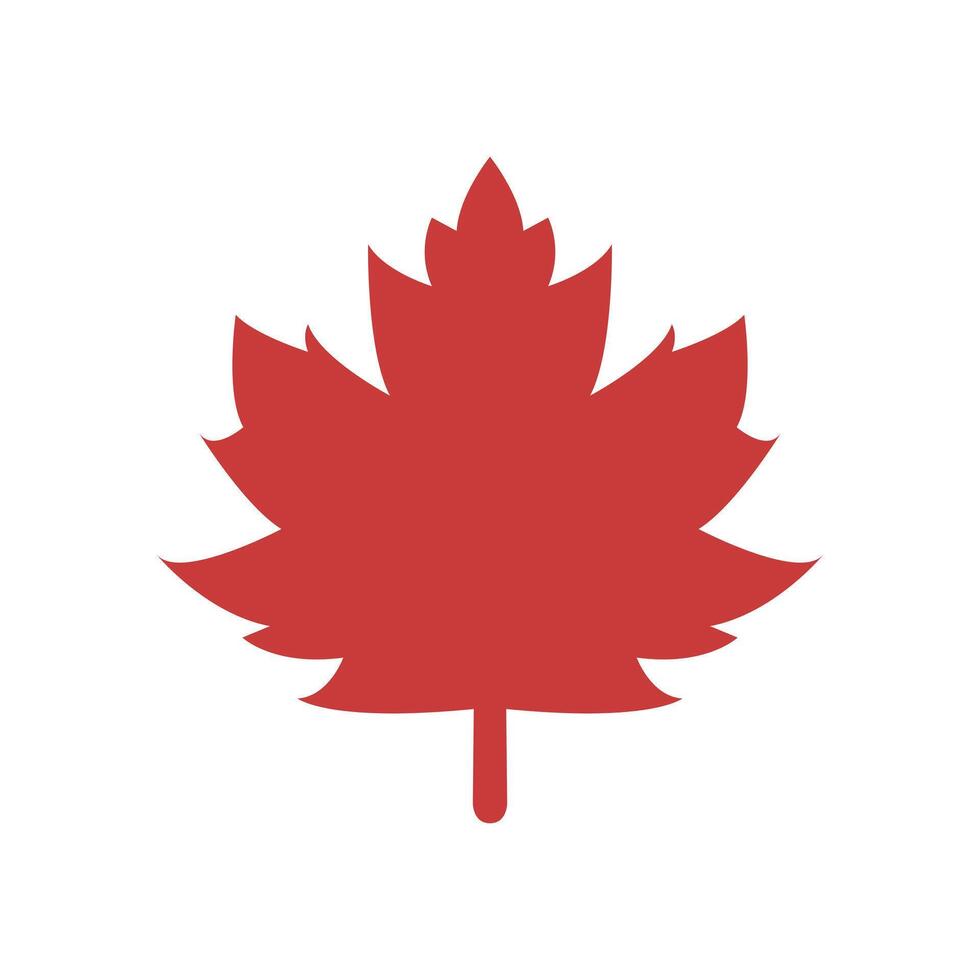 A canadian maple leaf icon on a white background vector