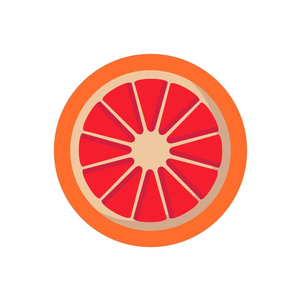 A grapefruit is shown in a flat design vector