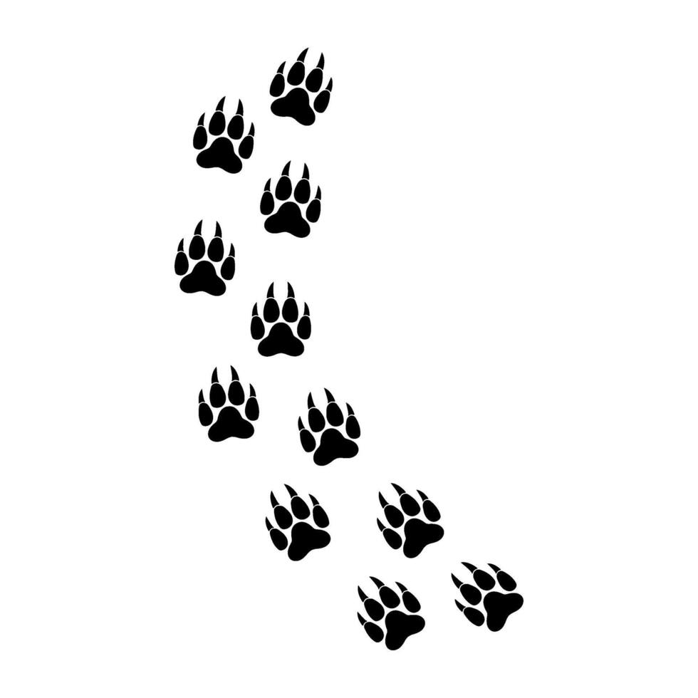 A trail of paw prints is shown on a white background vector