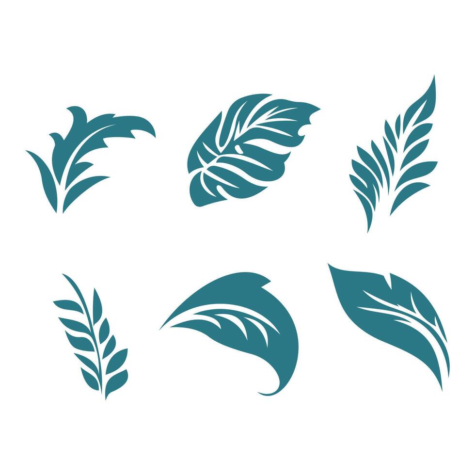 Set of Green Natural Fresh Leaf Leaves Foliage Floral Florist Decoration vector