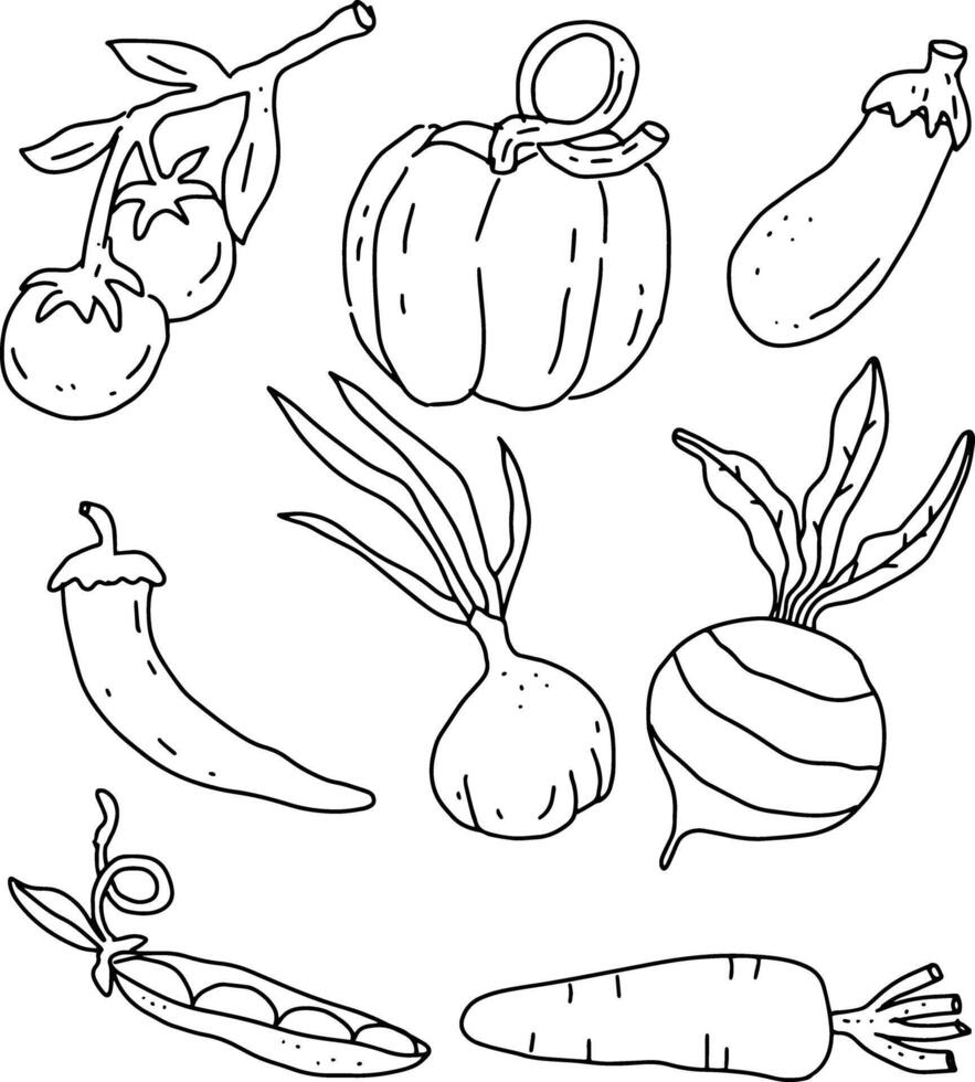 outline vegetables for cookingtime. vector