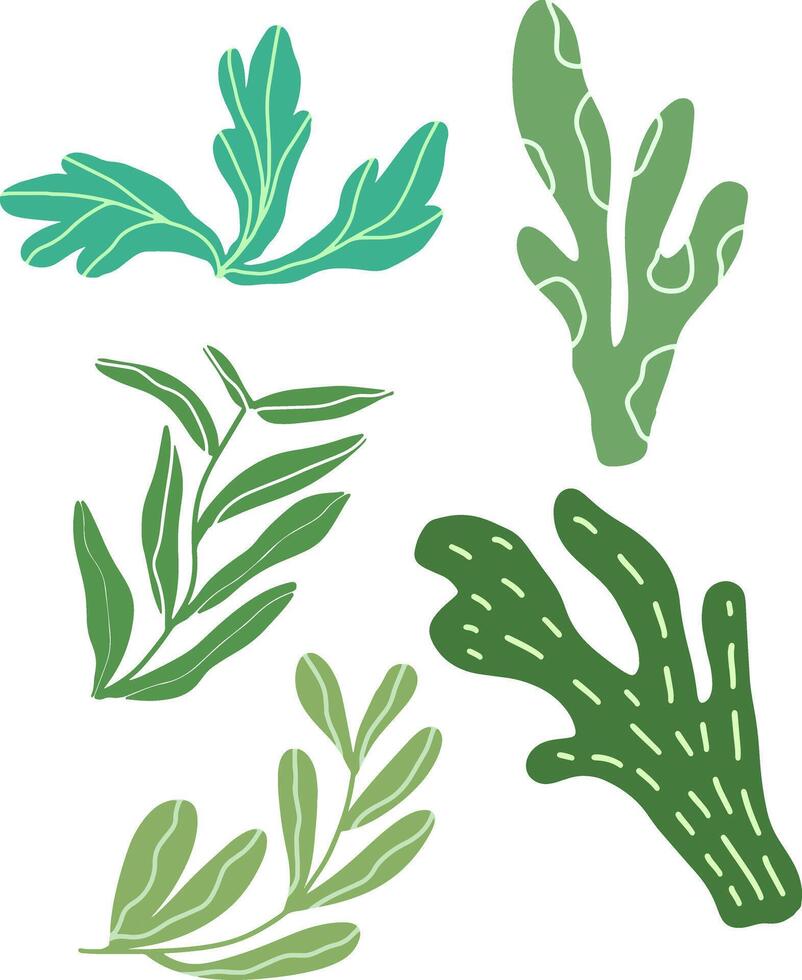 Various designed leaves design for templates. vector