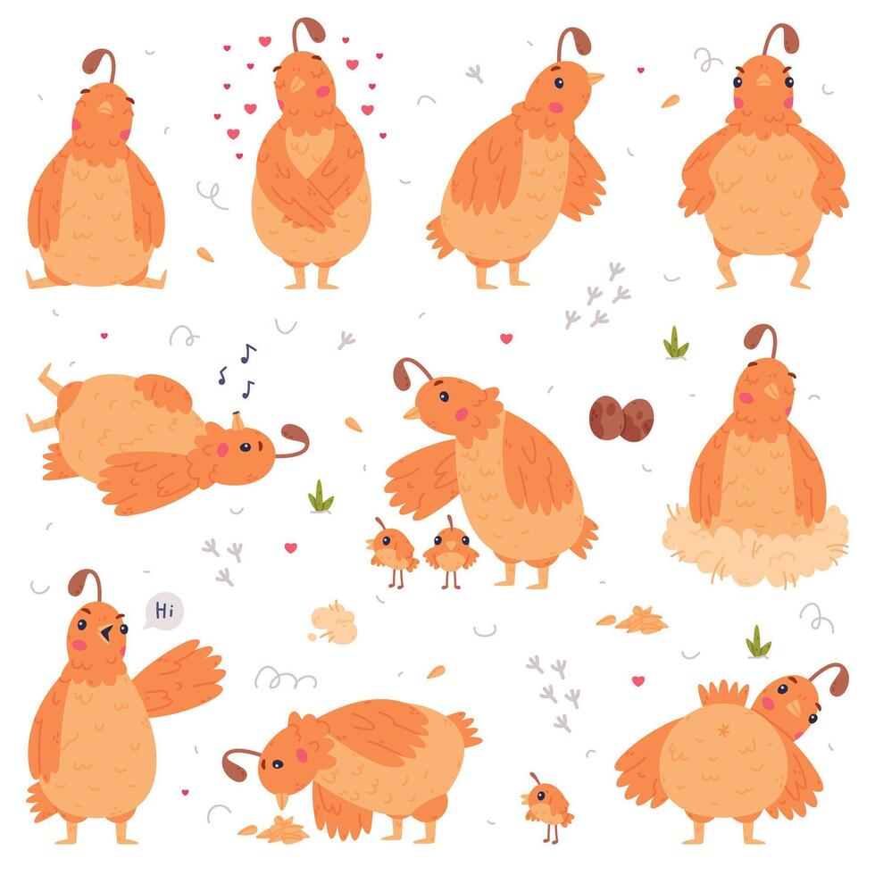 Quail Bird with Crest and Feathers Engaged in Different Activity Set vector