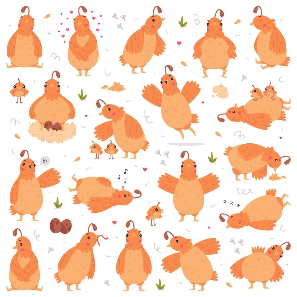 Quail Bird with Crest and Feathers Engaged in Different Activity Set vector