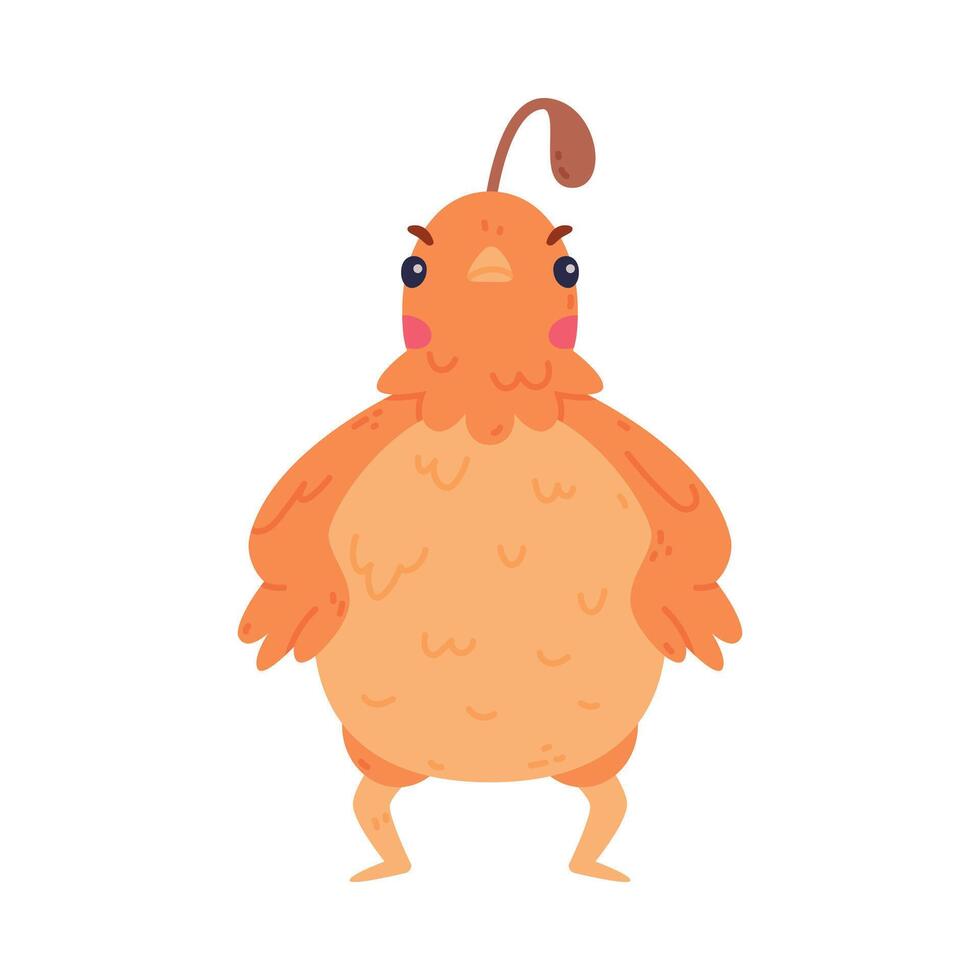 Quail Bird with Crest and Feathers Feeling Angry Frowning Illustration vector