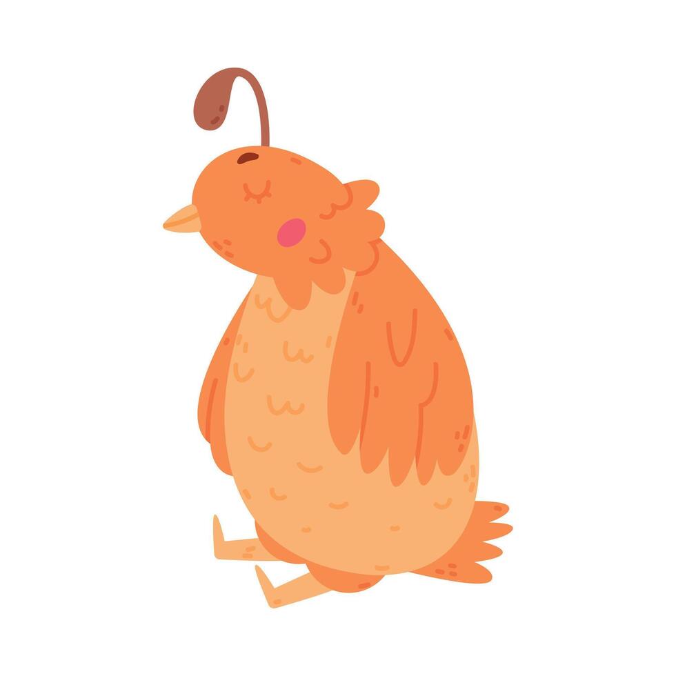 Quail Bird with Crest and Feathers in Sitting Pose Illustration vector