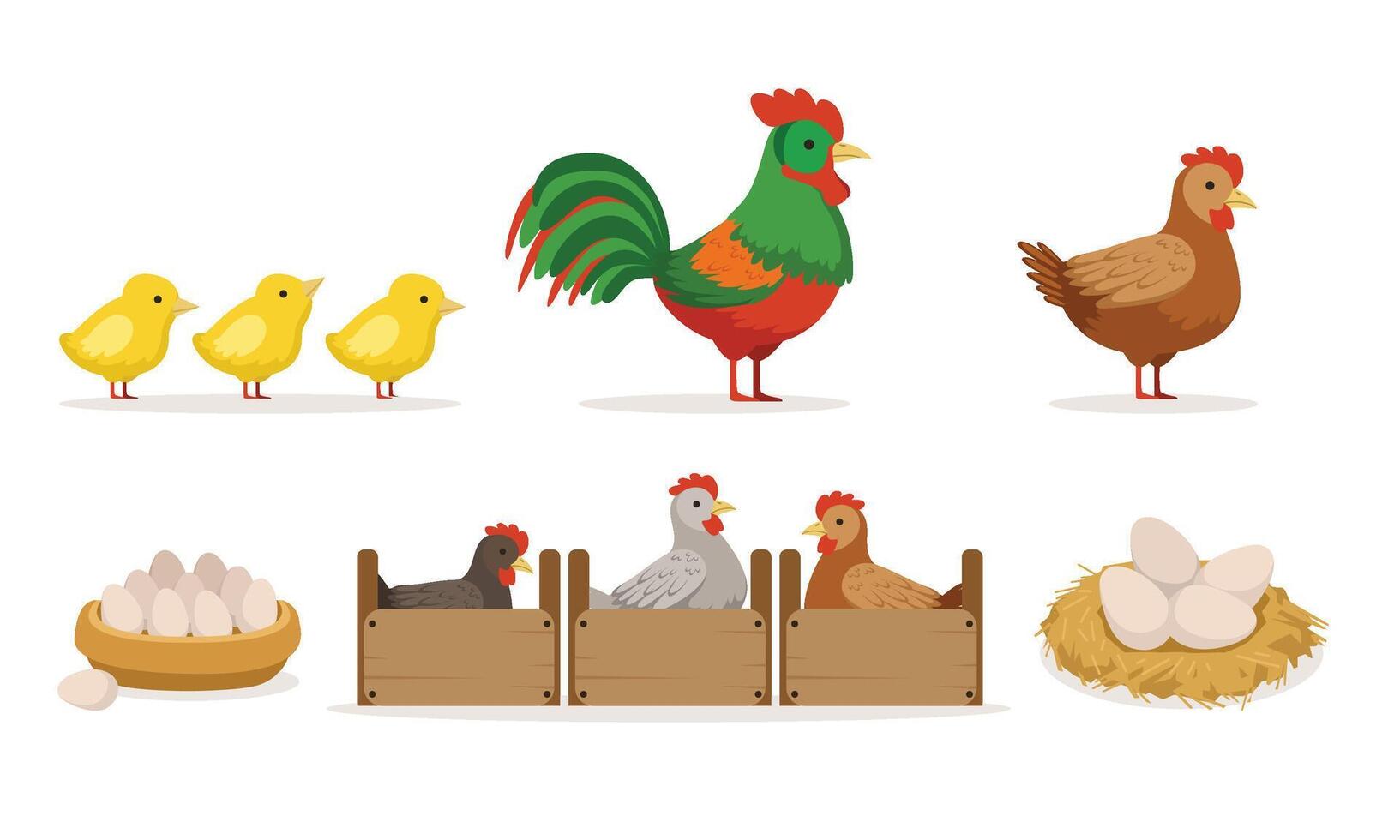 Poultry Farm With Hens In Crates, Rooster, Eggs And Chickens Illustration Set Isolated On White Background vector