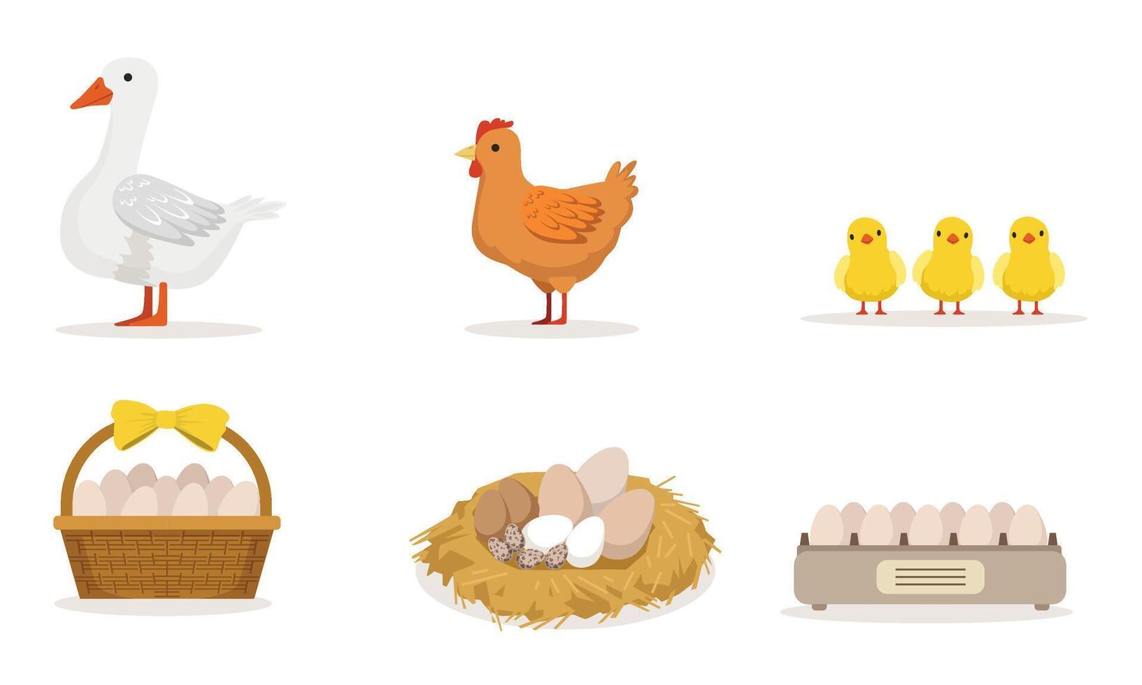 Poultry Farm With Goose, Hen, Three Little Baby Birds And Different Eggs Illustration Set Isolated On White Background vector