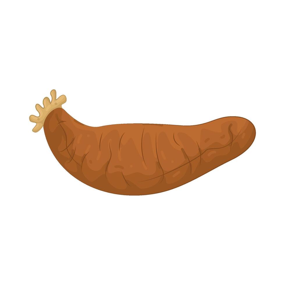 dIllustration of Sea Cucumber vector