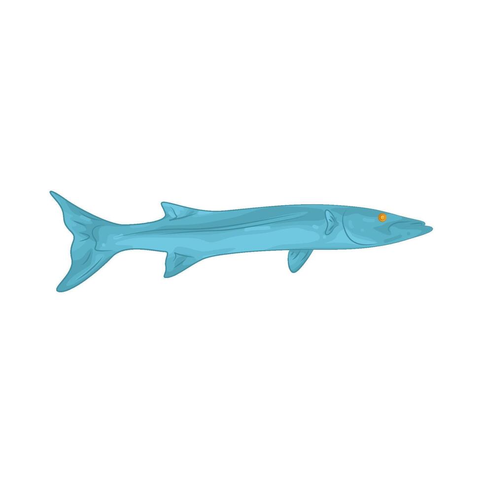 Illustration of Barracuda vector