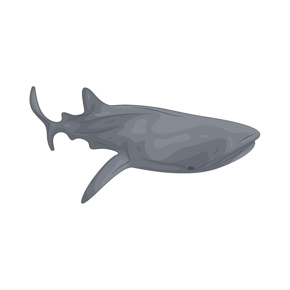 Illustration of Whale Shark vector