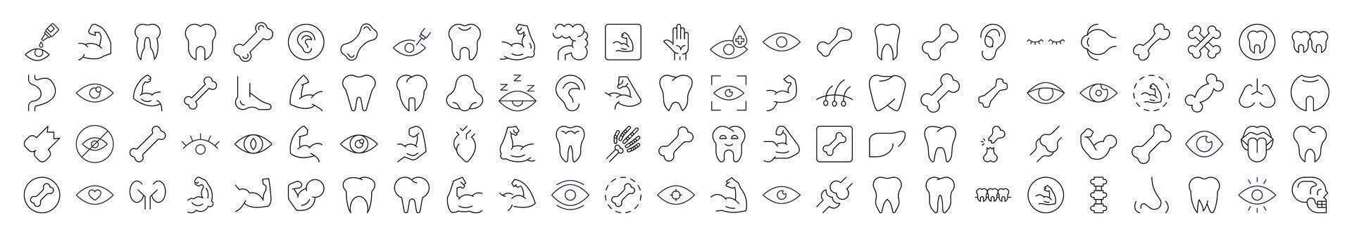 Bundles, Eye, Tooth, Muscle, Internal Organs Minimalistic Pictograms Drawn with Thin Line. Collection of Various Design Elements that Can Be Used for Apps, Articles, Web Sites, Social Media vector