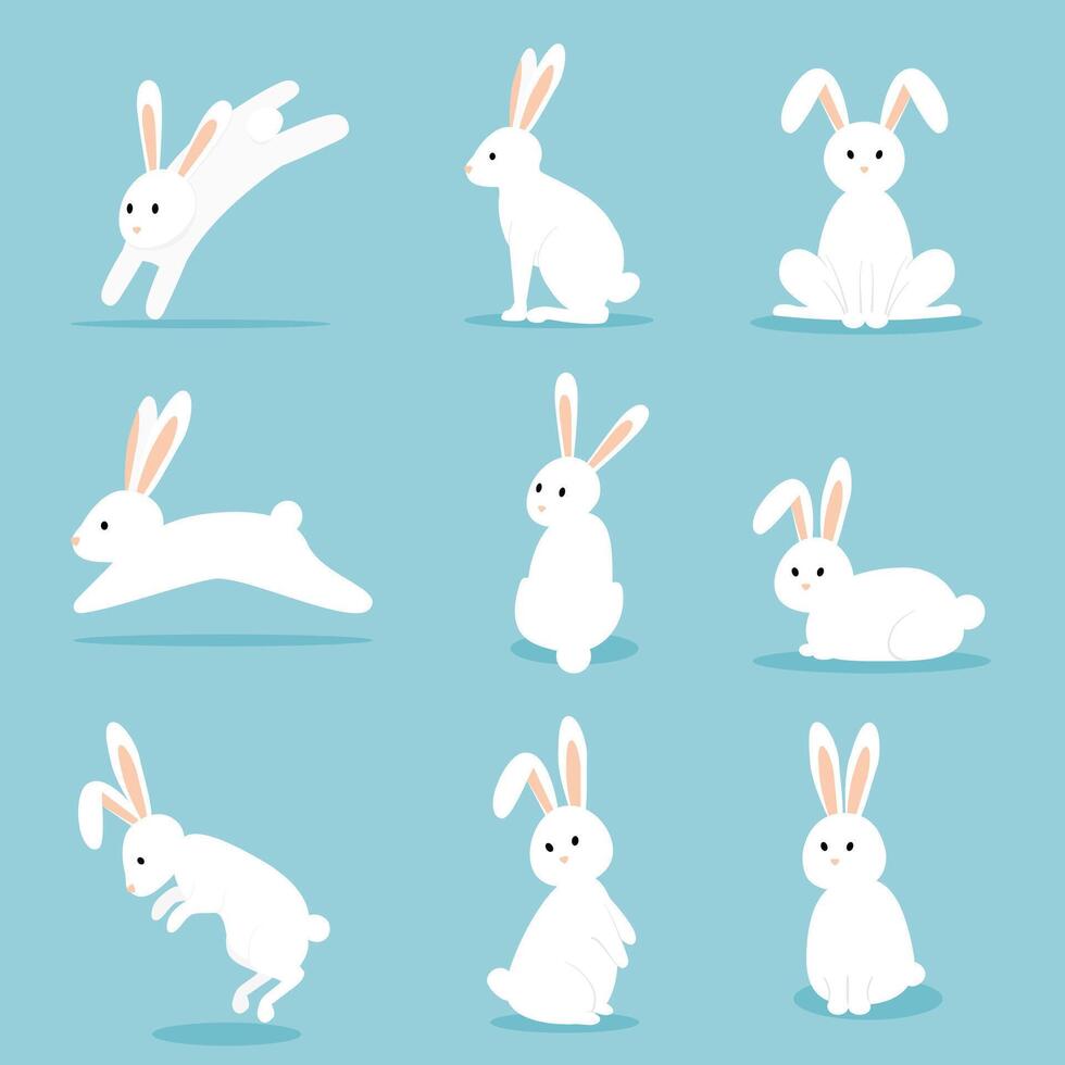 Set of white rabbit. Bunny illustration. vector