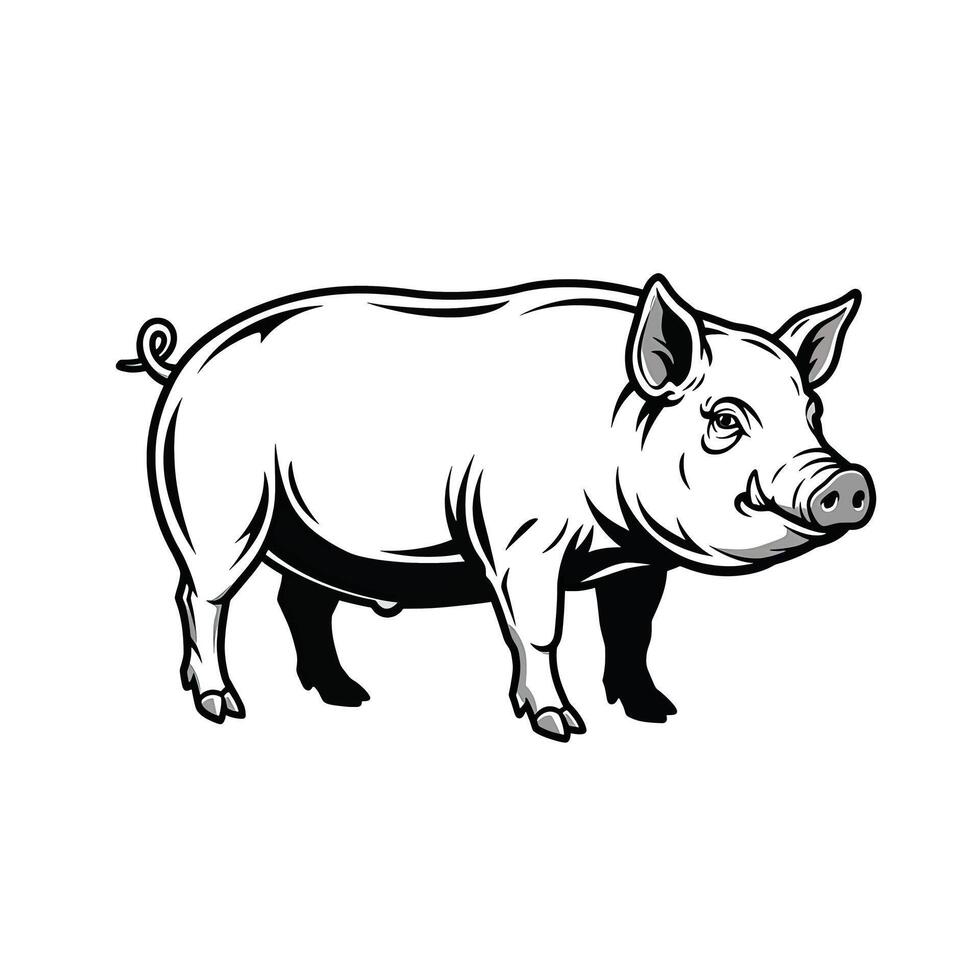 A black and white drawing of a pig vector