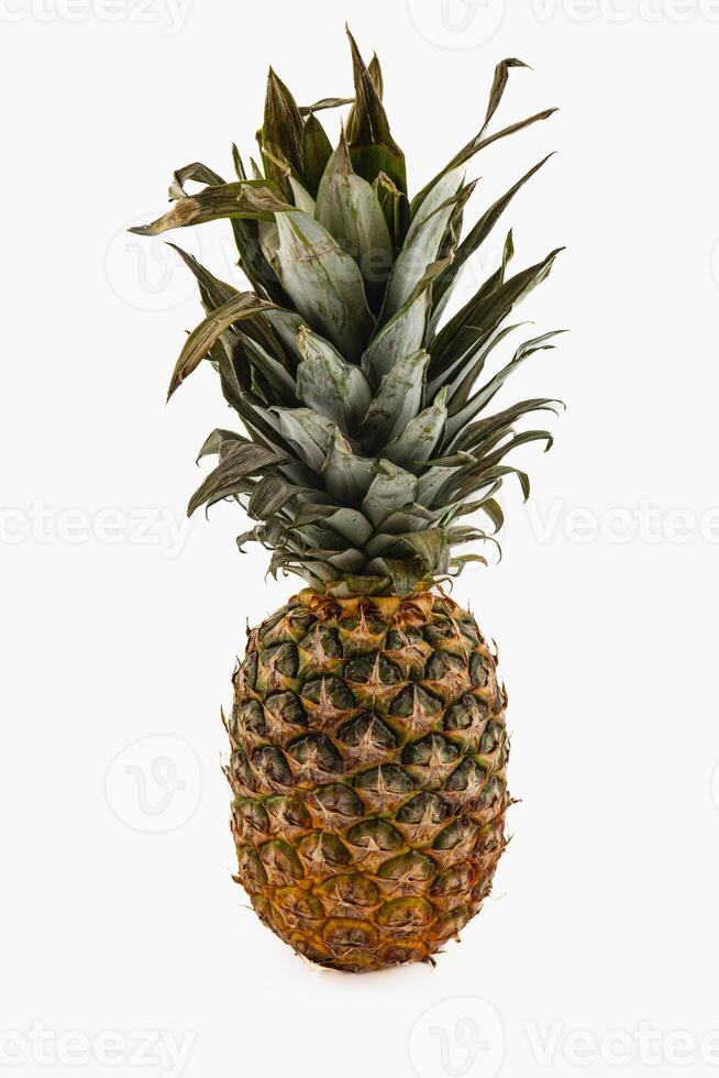 Fresh pineapple standing upright against a plain background photo