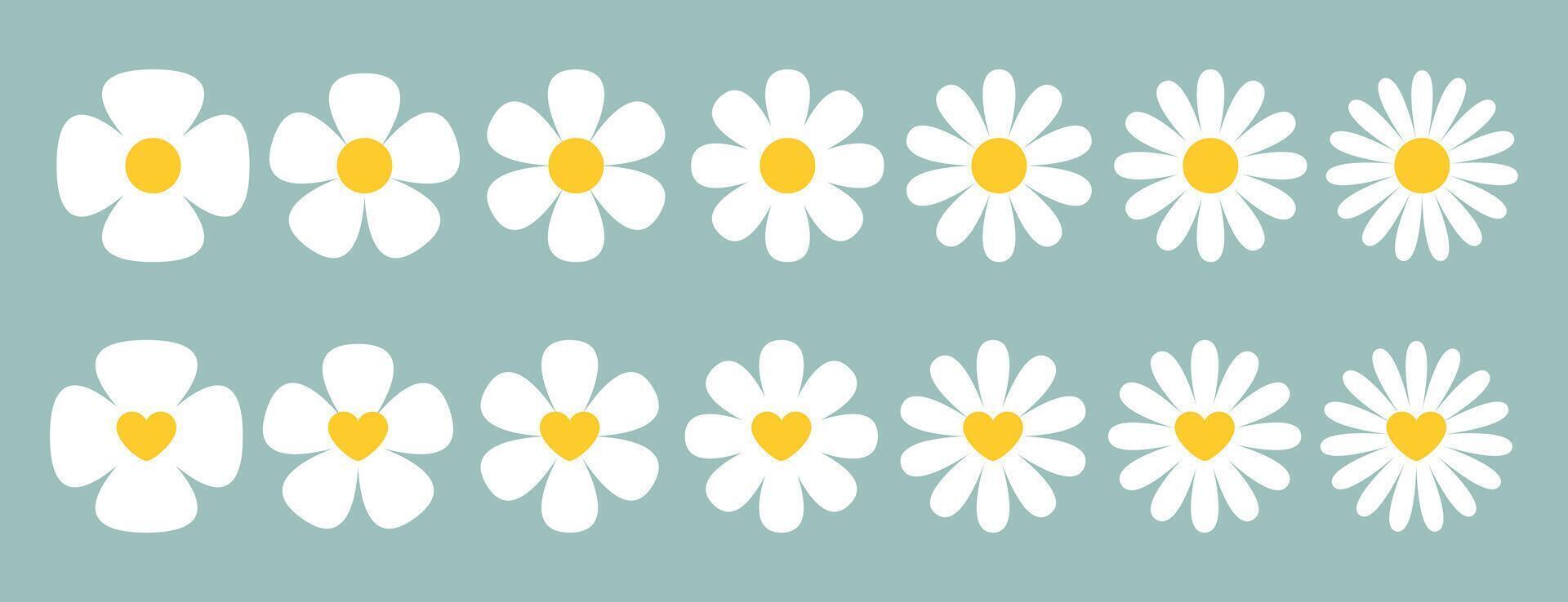 Daisy chamomile flower. Beautiful Collection of Hand-Drawn Daisy Flowers with Yellow Heart Centers on a Soft Pastel Background for Easter and Spring Decorations vector