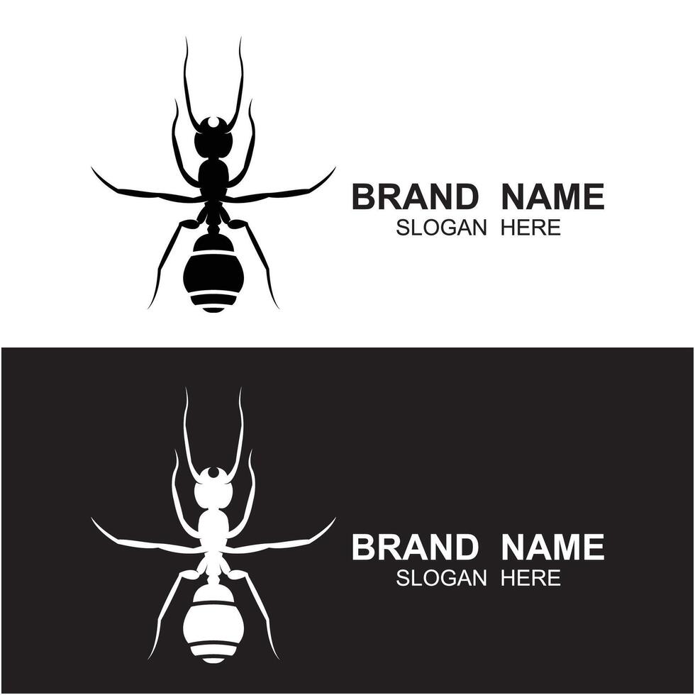 set of ant logo design vector