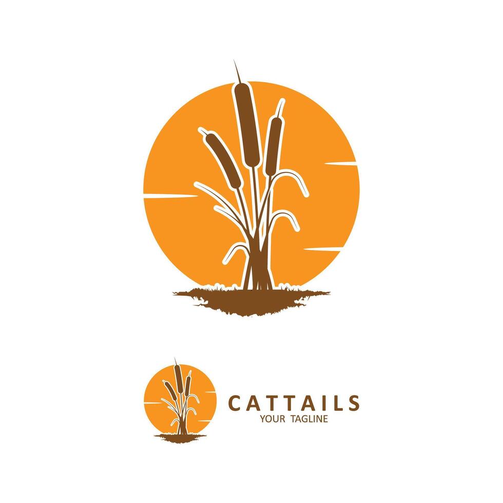 cattail grass logo illustration design vector
