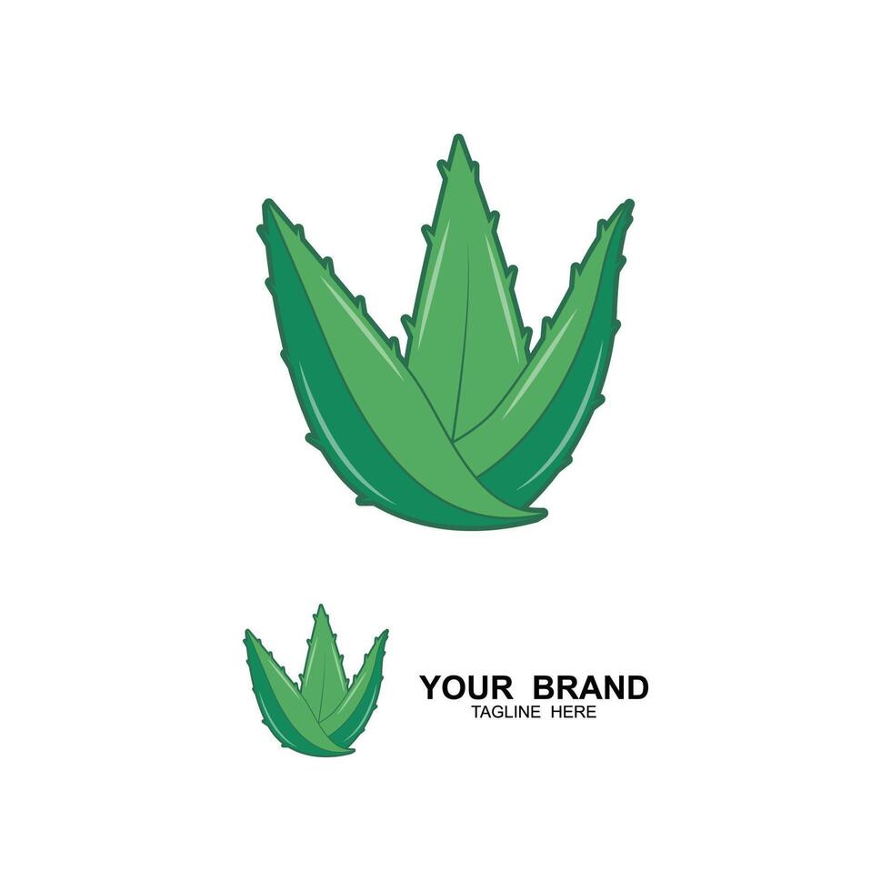 Aloe Vera logo icon concept vector