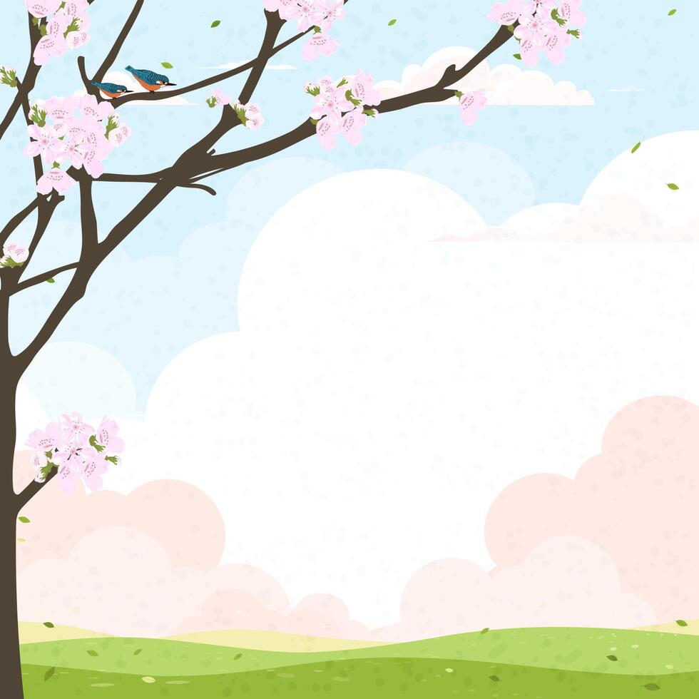 Sky blue,pink cloud background,Cute Spring landscape with green grass field,Cherry blossom branches tree,Nature Summer rural with copy space, Cartoon backdrop banner for Easter vector