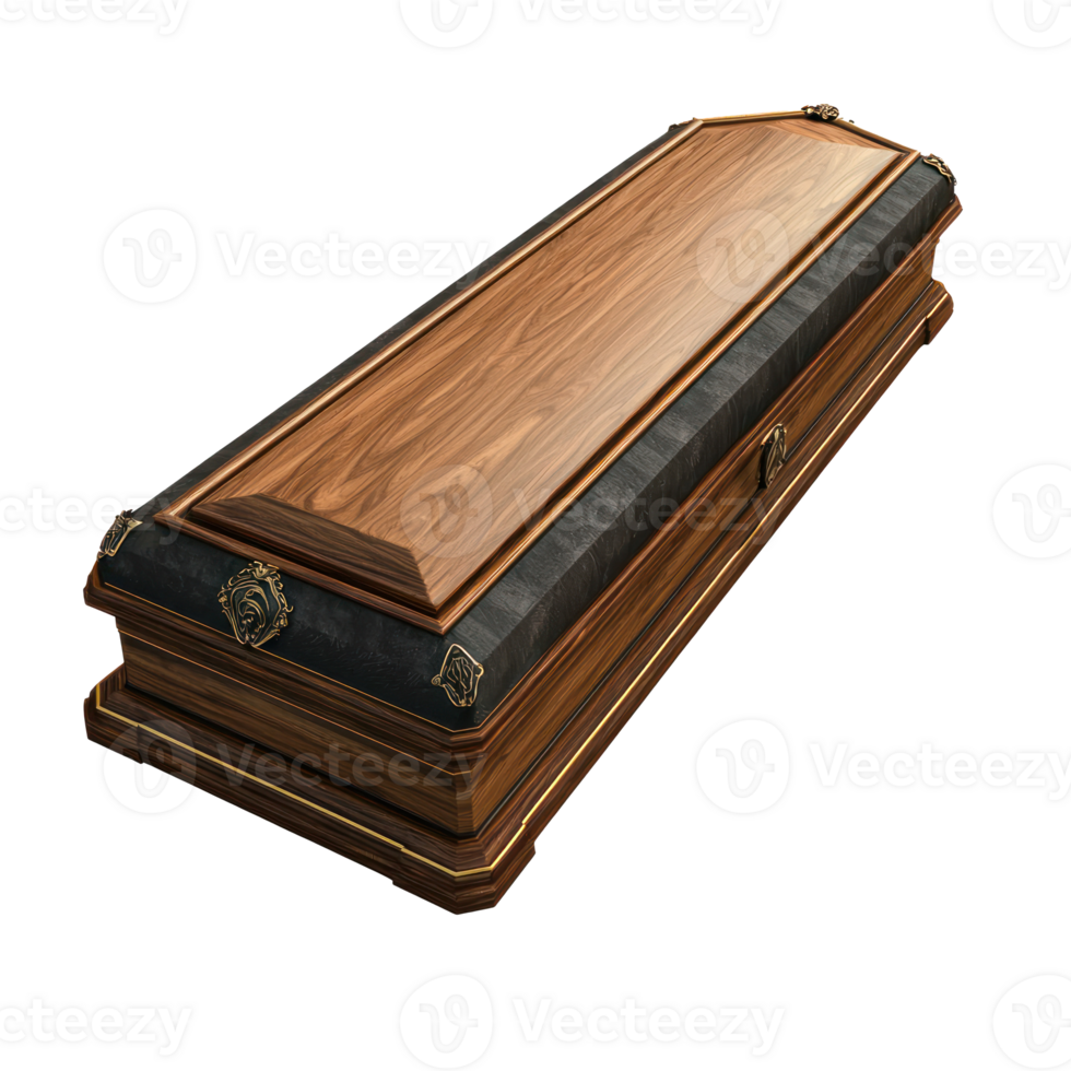 Modern Coffin isolate on transparent background png