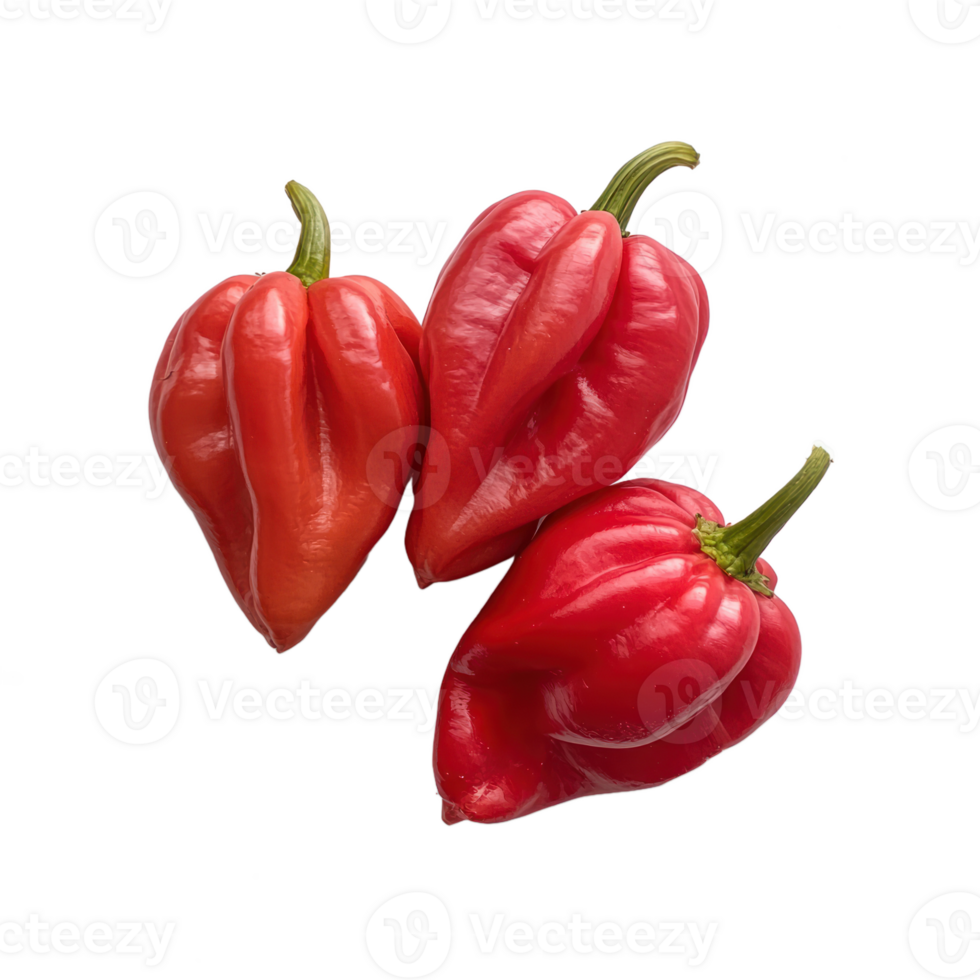 three red hot peppers on transparent background png